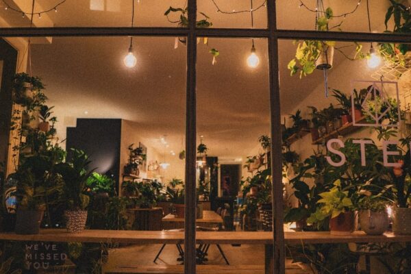 7 Interior Design Ideas for Flower Shop 2022 - C Plus Design